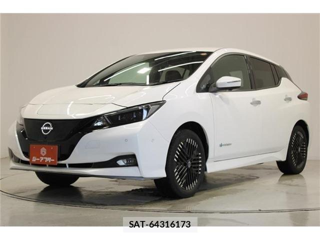 Nissan LEAF 2024-01 7220689-7