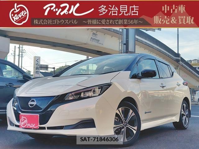 Nissan LEAF 2021-11 7251261-0