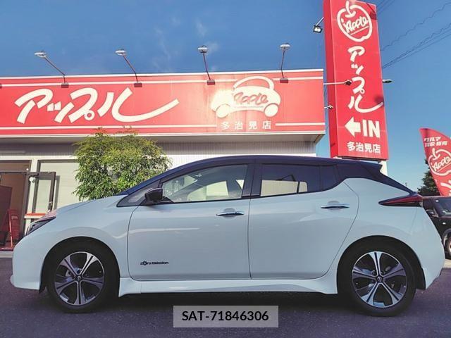 Nissan LEAF 2021-11 7251261-9
