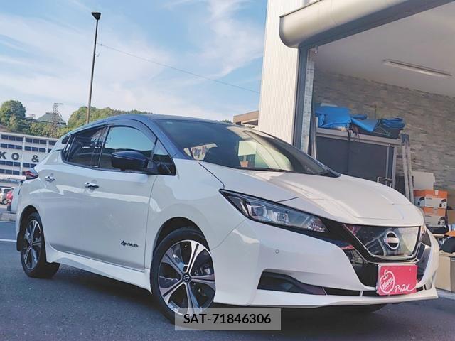 Nissan LEAF 2021-11 7251261-2