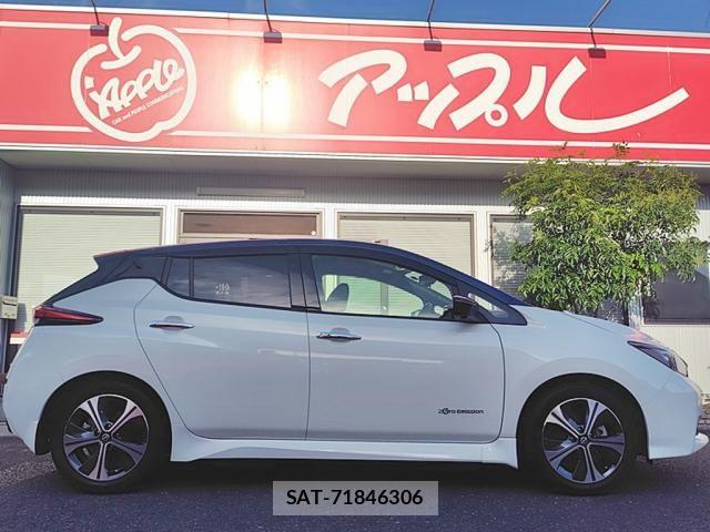 Nissan LEAF 2021-11 7251261-8