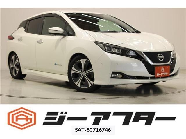 Nissan LEAF 2019-01 7251268-0