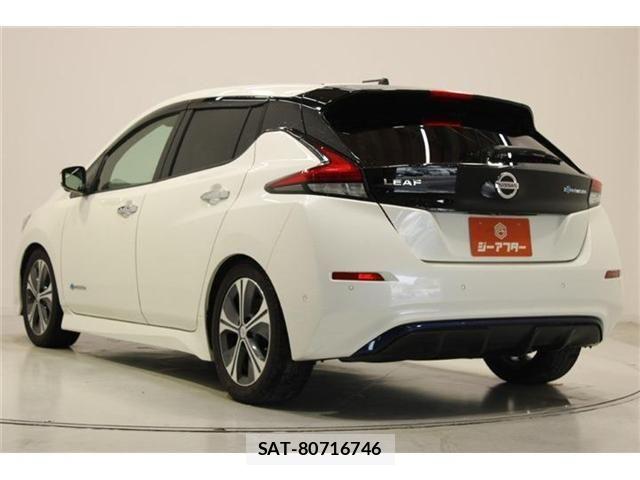 Nissan LEAF 2019-01 7251268-9