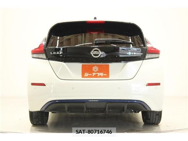 Nissan LEAF 2019-01 7251268-10