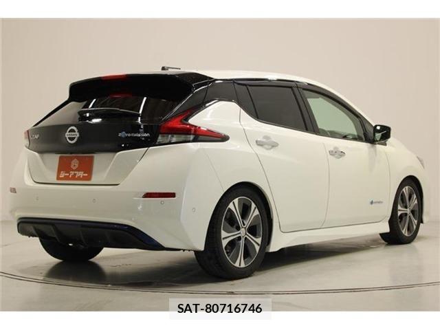 Nissan LEAF 2019-01 7251268-11