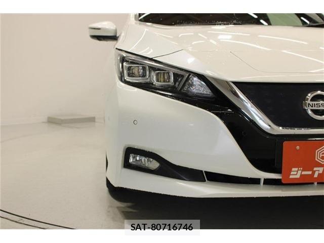 Nissan LEAF 2019-01 7251268-15