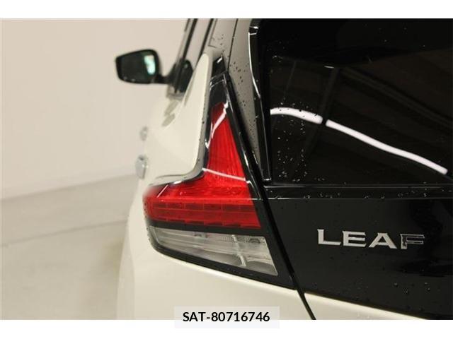 Nissan LEAF 2019-01 7251268-18