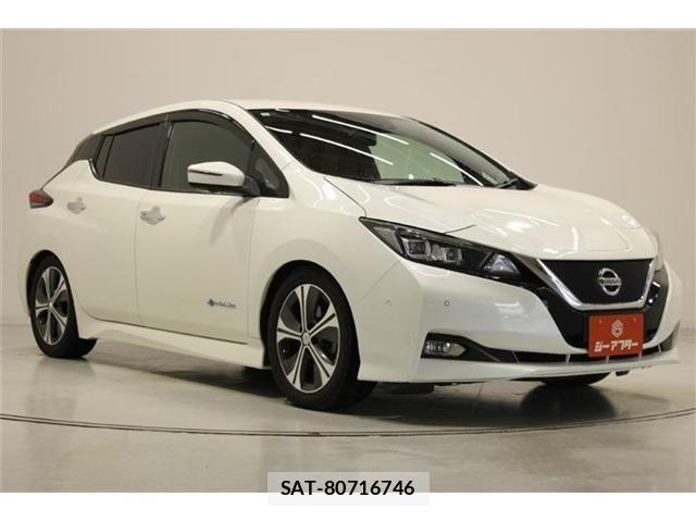 Nissan LEAF 2019-01 7251268-5