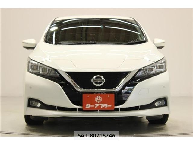 Nissan LEAF 2019-01 7251268-6