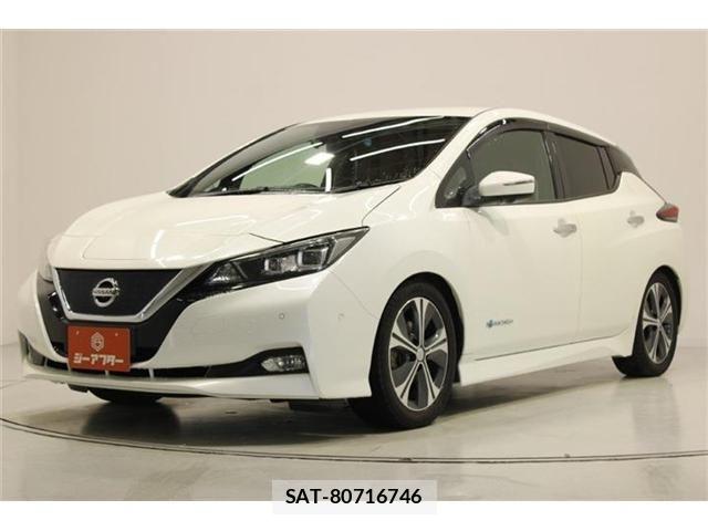 Nissan LEAF 2019-01 7251268-7