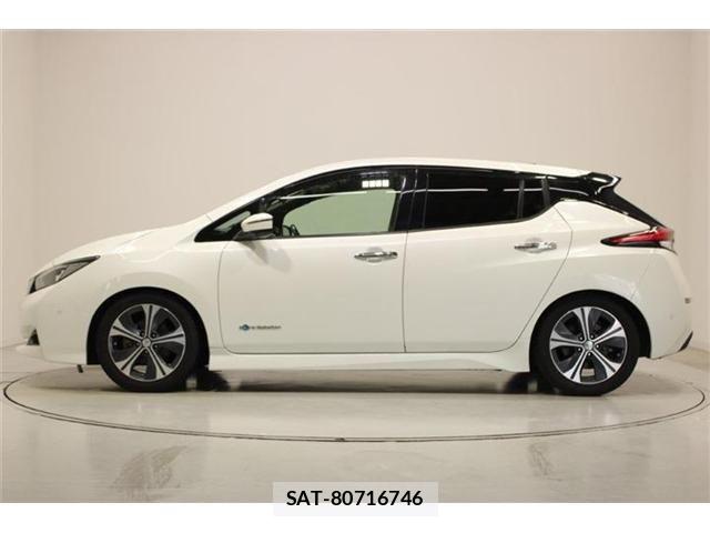 Nissan LEAF 2019-01 7251268-8