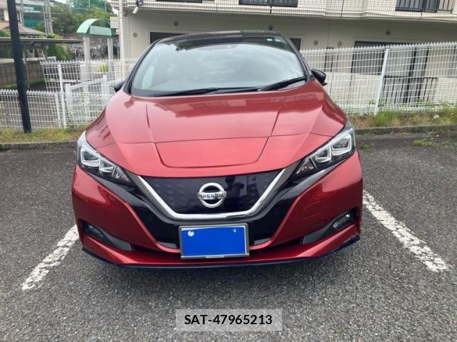 Nissan LEAF 2019-01 7251270-0
