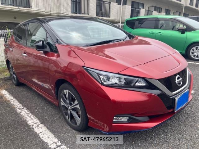 Nissan LEAF 2019-01 7251270-1