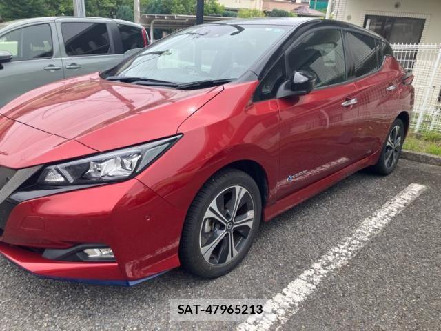 Nissan LEAF 2019-01 7251270-2