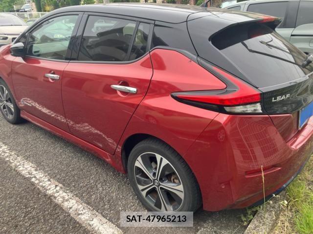 Nissan LEAF 2019-01 7251270-4