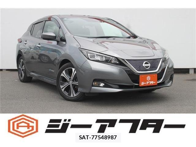 Nissan LEAF 2018-12 7251263-0