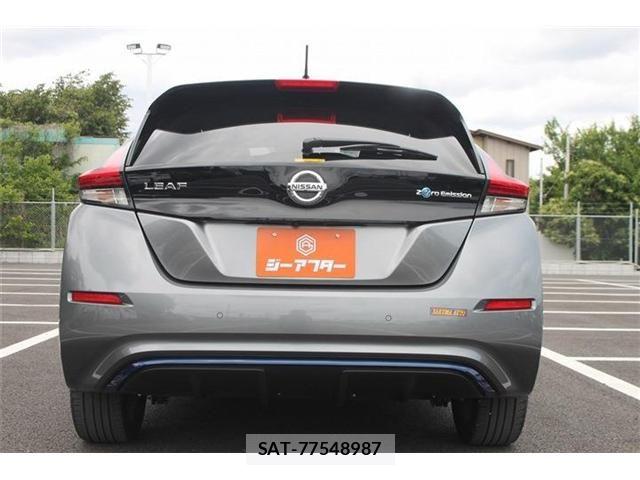 Nissan LEAF 2018-12 7251263-10