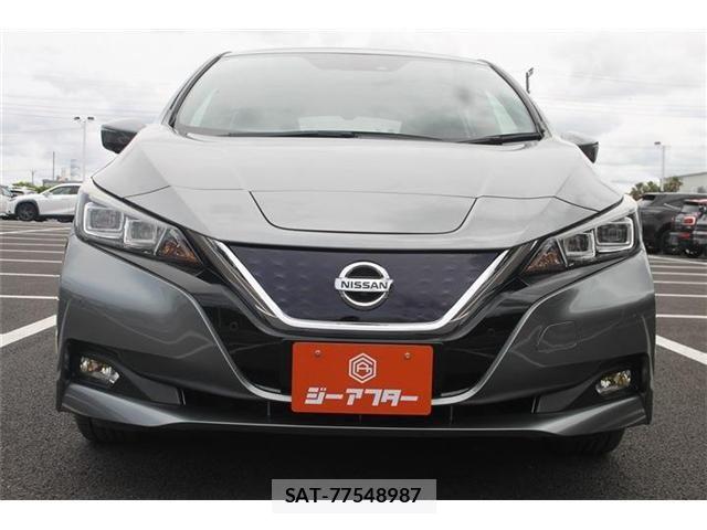 Nissan LEAF 2018-12 7251263-7