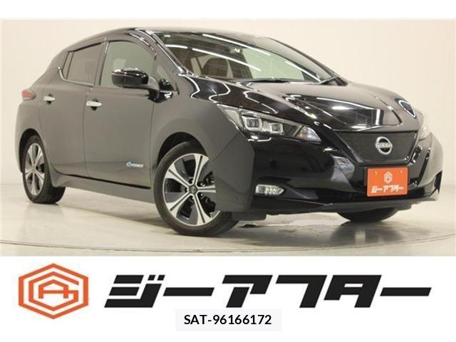 Nissan LEAF 2021-09 7251259-0