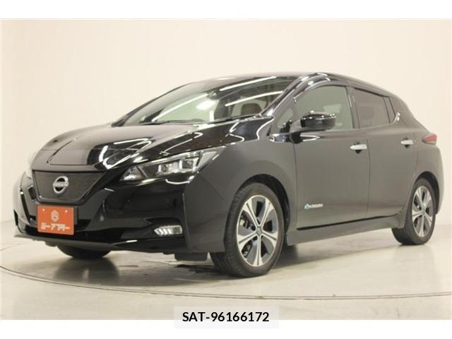 Nissan LEAF 2021-09 7251259-7