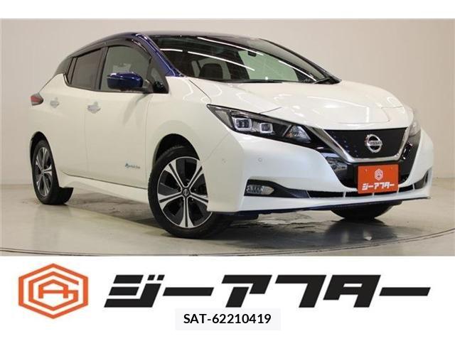 Nissan LEAF 2019-04 7251260-0