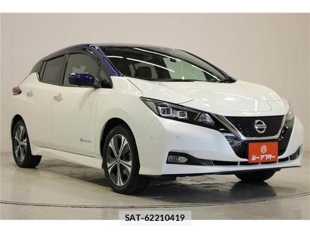 Nissan LEAF 2019-04 7251260-5
