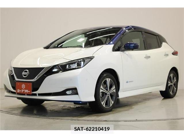 Nissan LEAF 2019-04 7251260-7