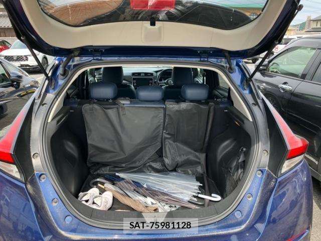 Nissan LEAF 2019-06 7251266-9