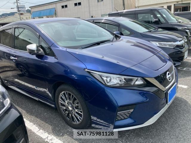 Nissan LEAF 2019-06 7251266-2