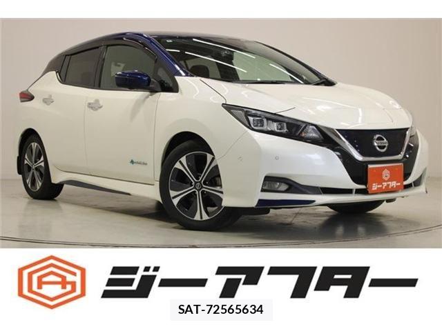 Nissan LEAF 2020-03 7251262-0