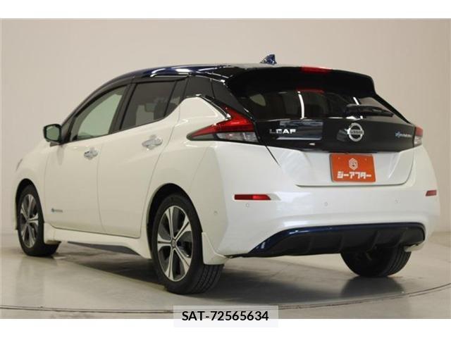 Nissan LEAF 2020-03 7251262-9
