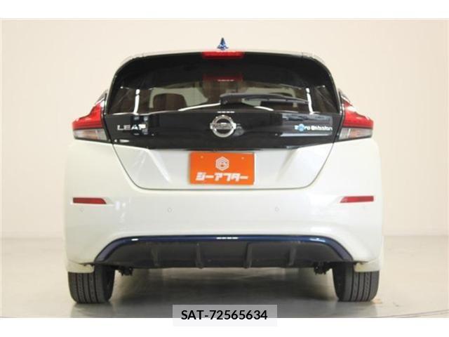 Nissan LEAF 2020-03 7251262-10