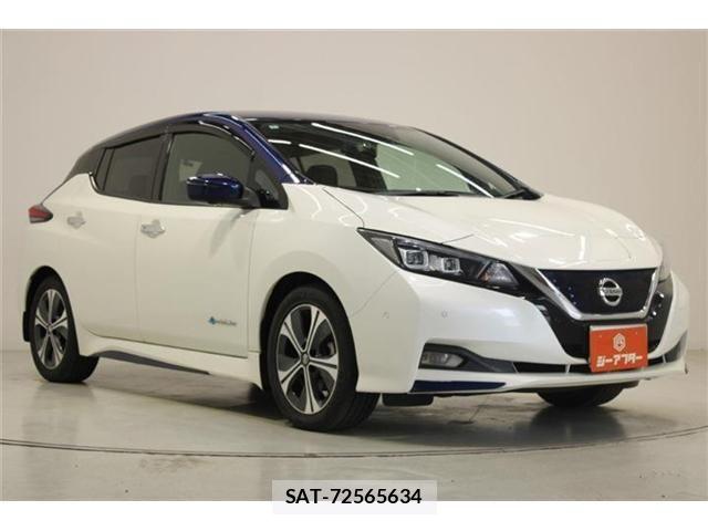 Nissan LEAF 2020-03 7251262-5