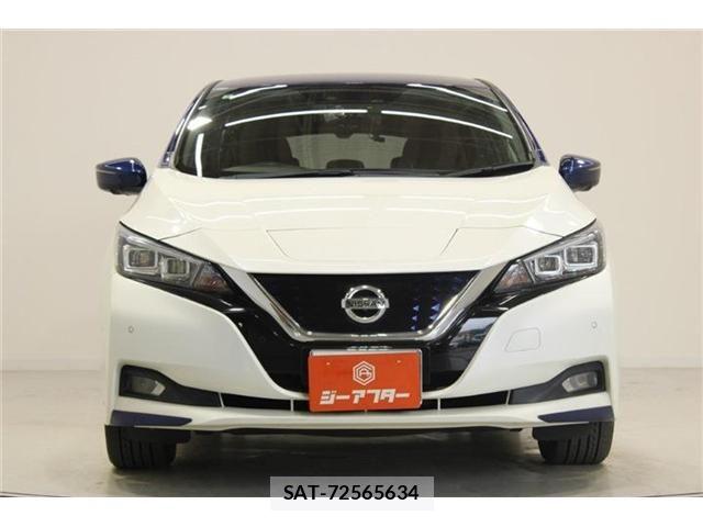 Nissan LEAF 2020-03 7251262-6