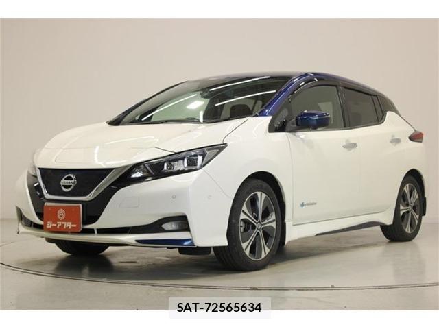 Nissan LEAF 2020-03 7251262-7