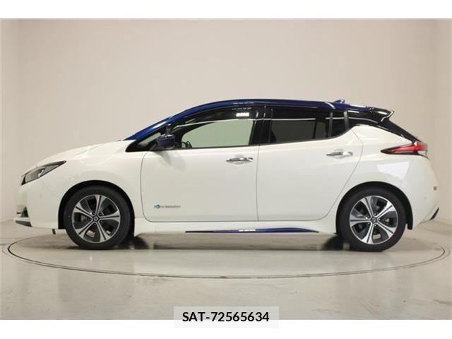Nissan LEAF 2020-03 7251262-8