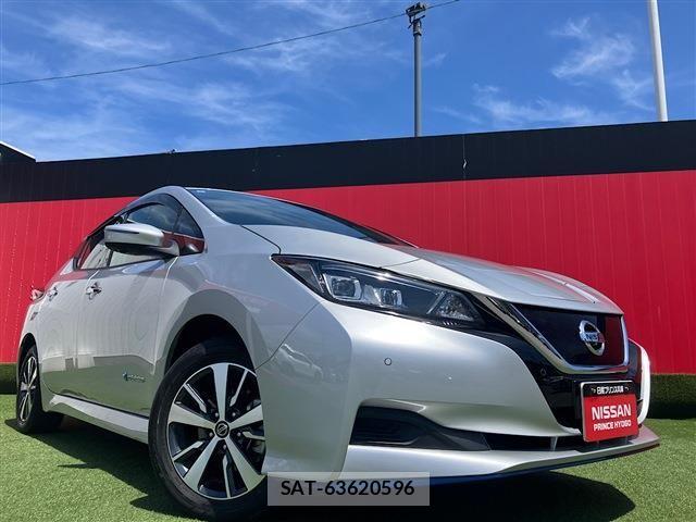 Nissan LEAF 2019-06 7272183-0
