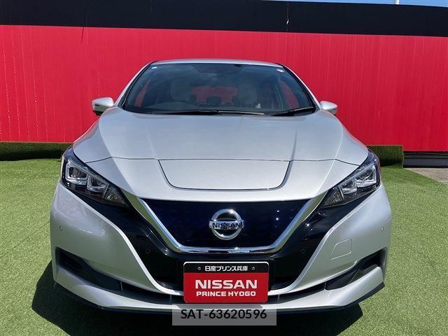 Nissan LEAF 2019-06 7272183-1