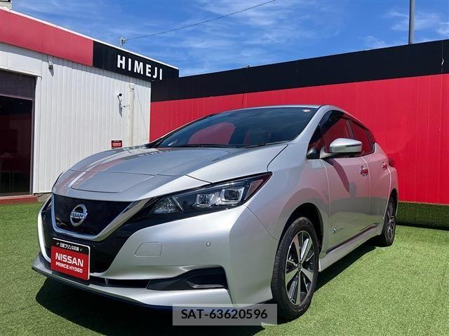 Nissan LEAF 2019-06 7272183-2