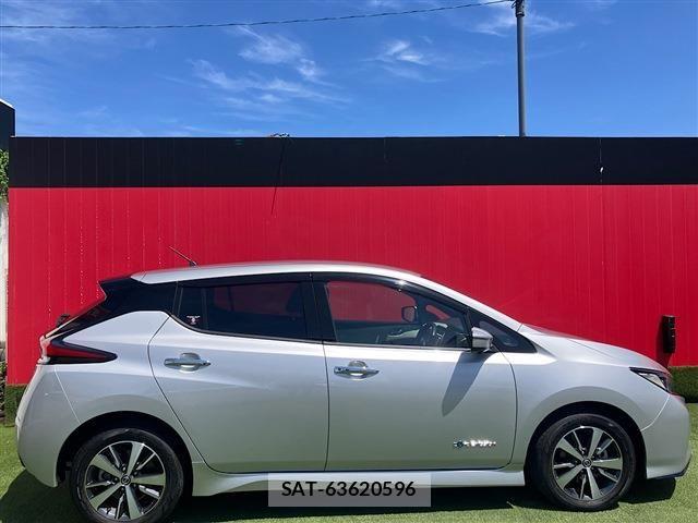 Nissan LEAF 2019-06 7272183-4