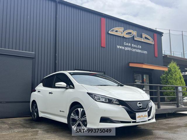Nissan LEAF 2021-07 7272189-0