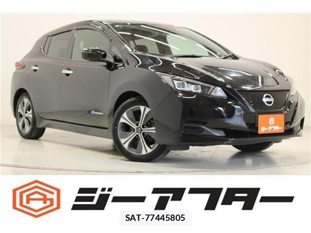Nissan LEAF 2022-02 7272184-0