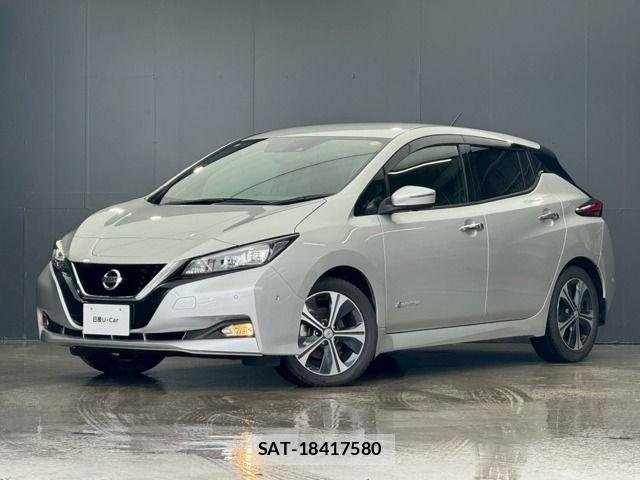 Nissan LEAF 2018-01 7272185-0