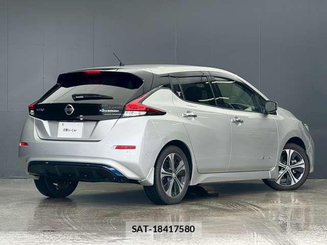 Nissan LEAF 2018-01 7272185-1