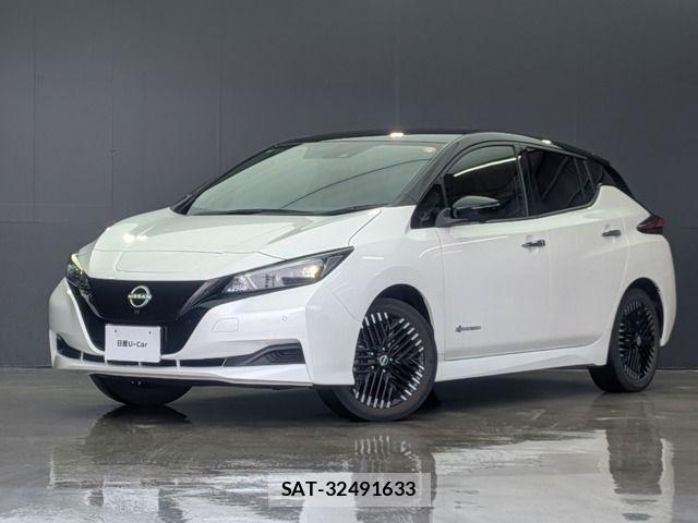 Nissan LEAF 2022-06 7272182-0