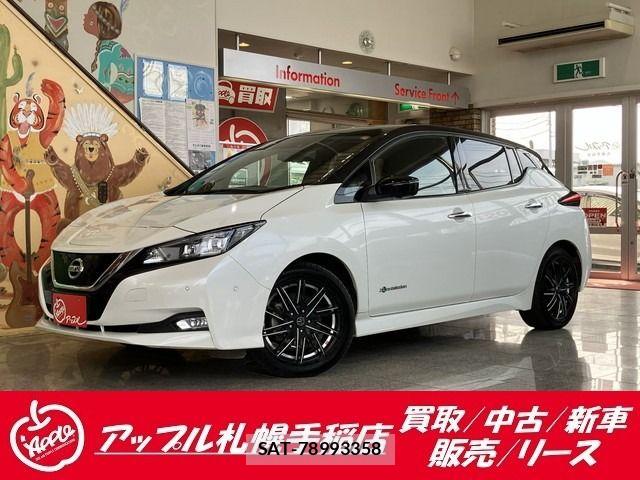 Nissan LEAF 2018-06 7327897-0
