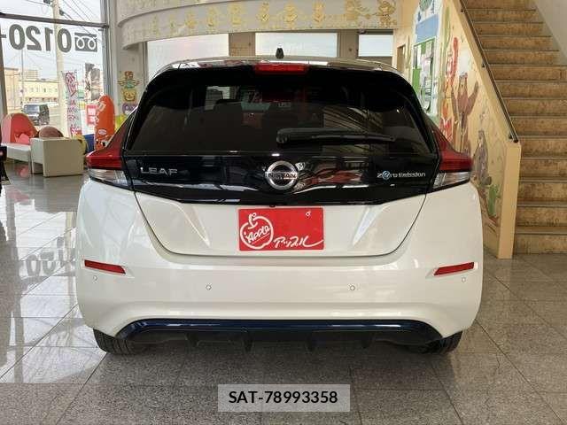 Nissan LEAF 2018-06 7327897-2