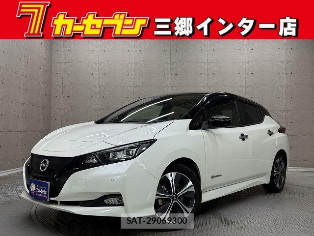 Nissan LEAF 2022-02 7327891-0