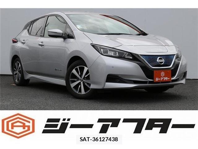 Nissan LEAF 2020-05 7327898-0