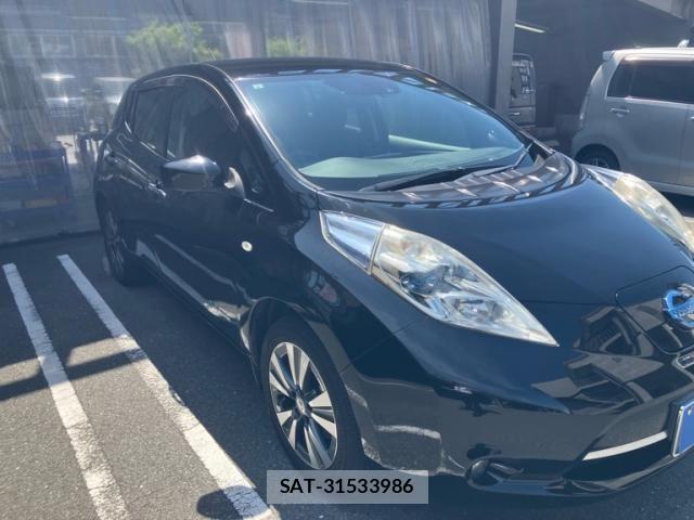 Nissan LEAF 2017-06 7327917-1